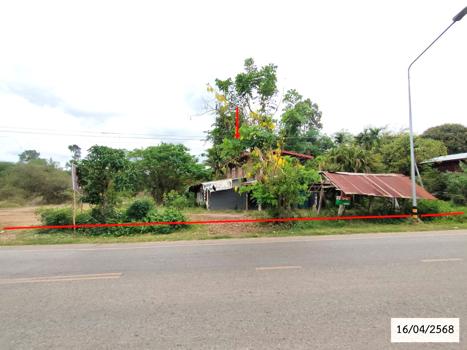 รูป บ้านเดี่ยว สำหรับขาย - ปทุมวาปี ส่องดาว สกลนคร - รูปที่ 41/44