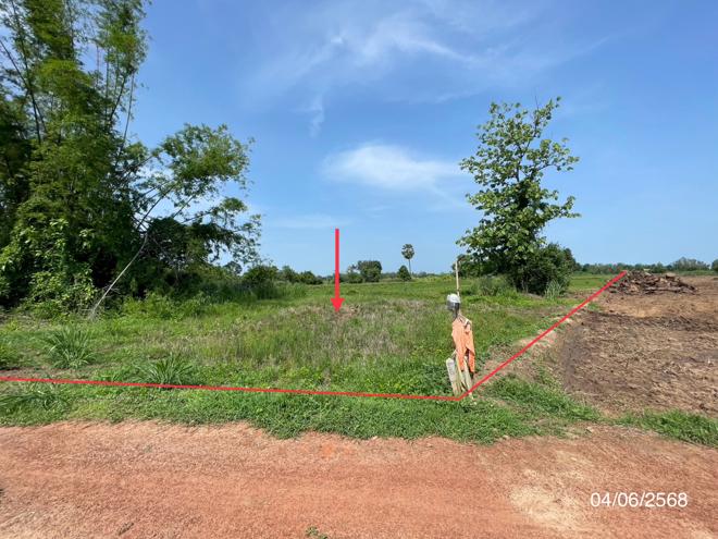 picture LAND for sale  Noen Kum Bang Krathum Phitsanulok - 2/22