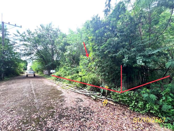 รูป ที่ดินว่างเปล่า สำหรับขาย - รังสิต ธัญบุรี ปทุมธานี - รูปที่ 3/18