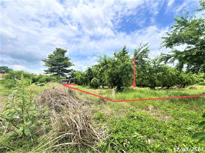 picture LAND for sale  Lamnarai Chai Badan Lopburi - 1/14