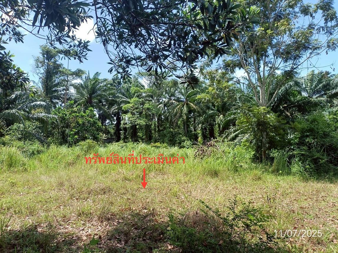 picture LAND for sale  Wang Maprang Nua Wang Wiset Trang - 14/24