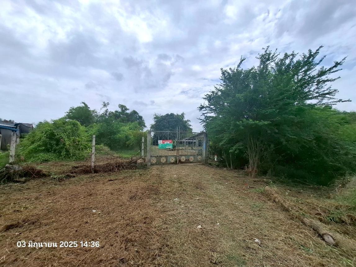รูป บ้านเดี่ยว สำหรับขาย - ดอนยายหอม เมืองนครปฐม นครปฐม - รูปที่ 23/46
