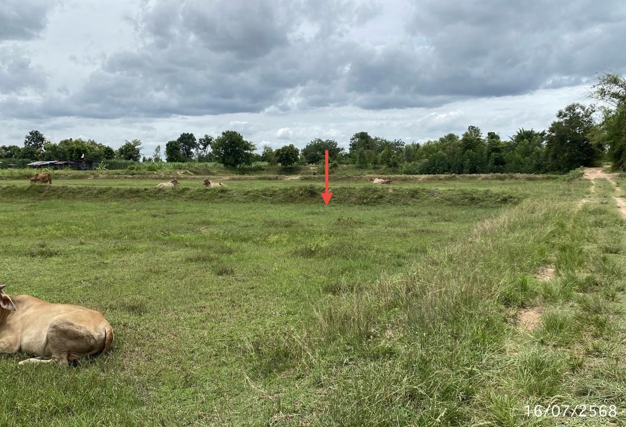 picture LAND for sale  Kham Yai Huai Mek Kalasin - 16/24