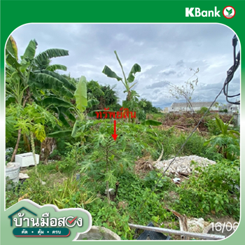 picture LAND for sale  Surasak Si Racha Chonburi - 16/18