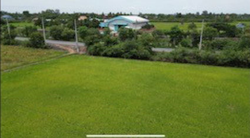 picture LAND for sale  Pho Phraya Muang Suphanburi Suphanburi - 8/14