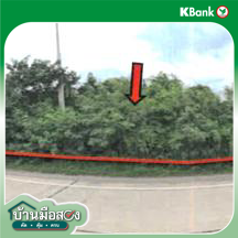 picture LAND for sale  Rua Yai Muang Suphanburi Suphanburi - 12/14