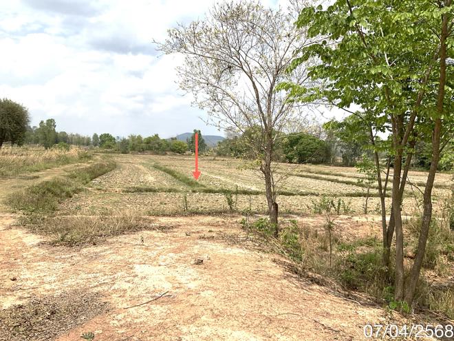 picture LAND for sale  Dong Chen Phu Kam Yao Phayao - 7/24