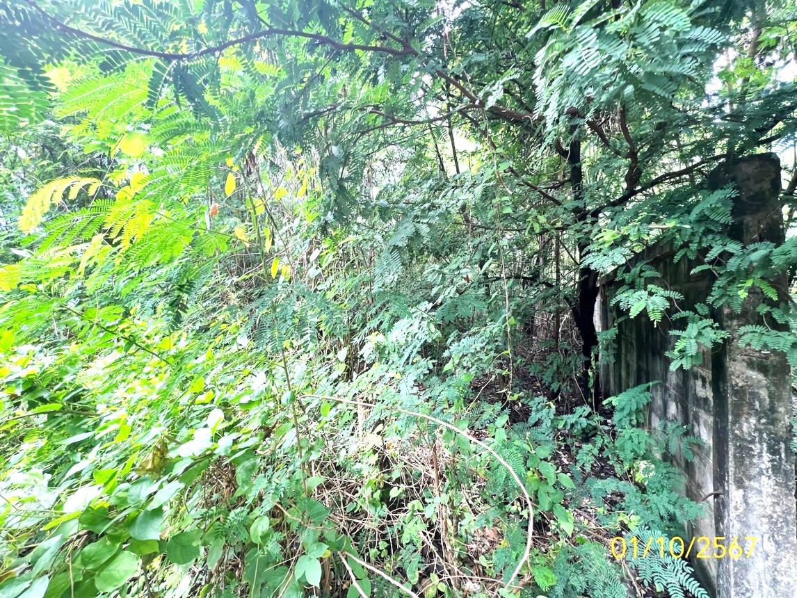 รูป ที่ดินว่างเปล่า สำหรับขาย - รังสิต ธัญบุรี ปทุมธานี - รูปที่ 13/18
