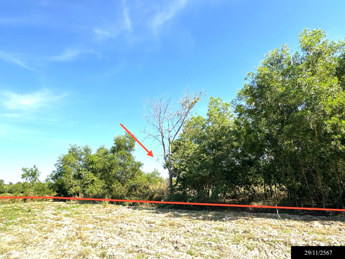 picture LAND for sale  Dong Khan Yai Kham Khuan Kaeo Yasothon - 15/24