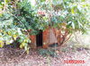 listing thumbnail image 32