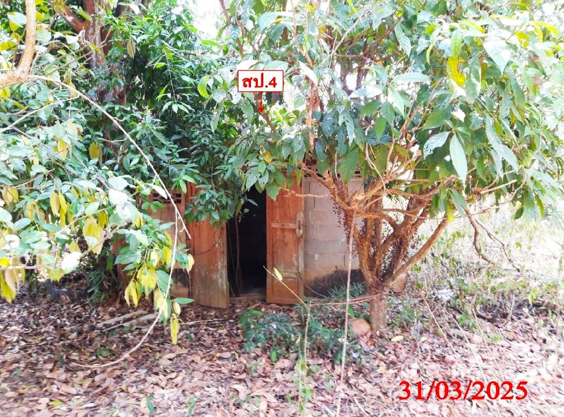 picture HOME for sale  Tha Pla Mae Chaem Chiang Mai - 33/44
