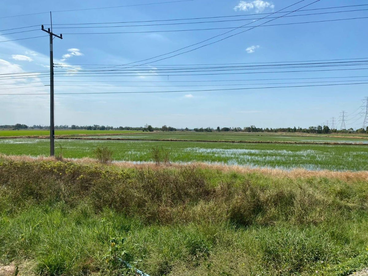 รูป ขายที่ดินแปลงใหญ่ 68 ไร่ ติดถนนใหญ่สาย 347 (ปทุมธานี-บางปะหัน) บางปะอิน อยุธยา ยกแปลงขายถูก 170 ลบ. ราคานี้รวมโอน ถูกสุดในบริเวณนี้ - รูปที่ 5/5