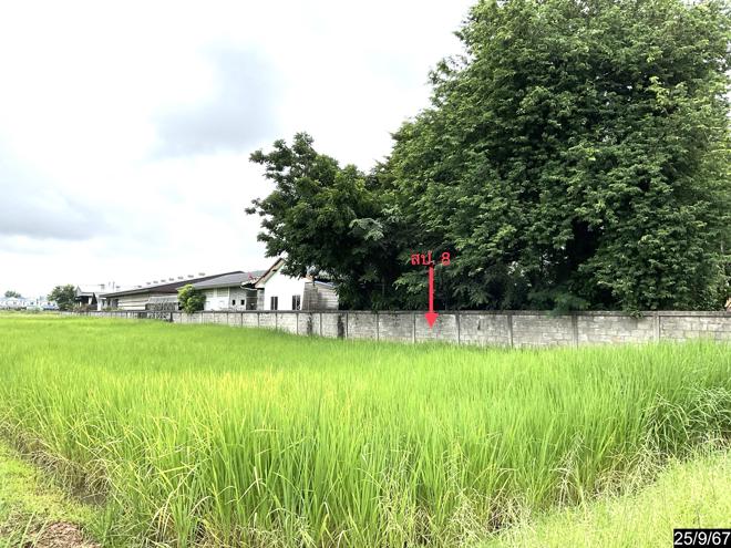 รูป บ้านเดี่ยว สำหรับขาย - บ้านเป็ด เมืองขอนแก่น ขอนแก่น - รูปที่ 5/24