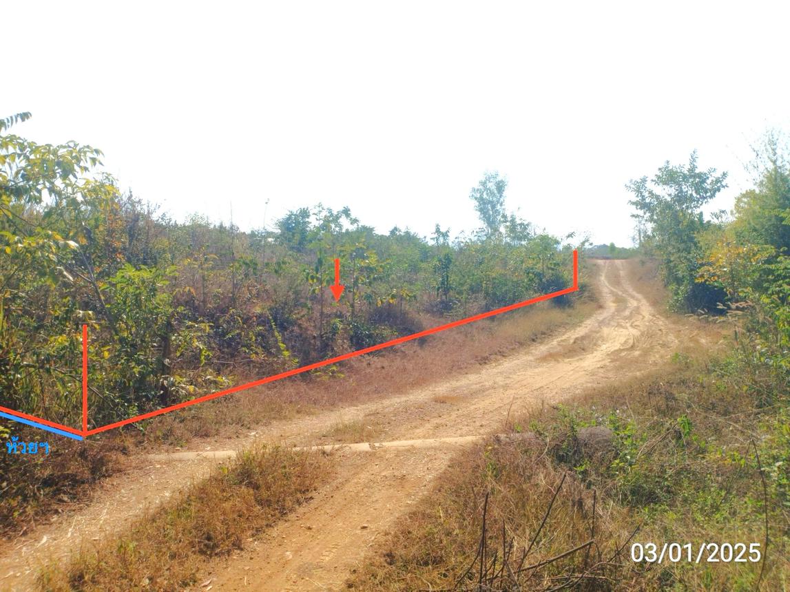 รูป ที่ดินว่างเปล่า สำหรับขาย - ร้องเข็ม ร้องกวาง แพร่ - รูปที่ 9/16