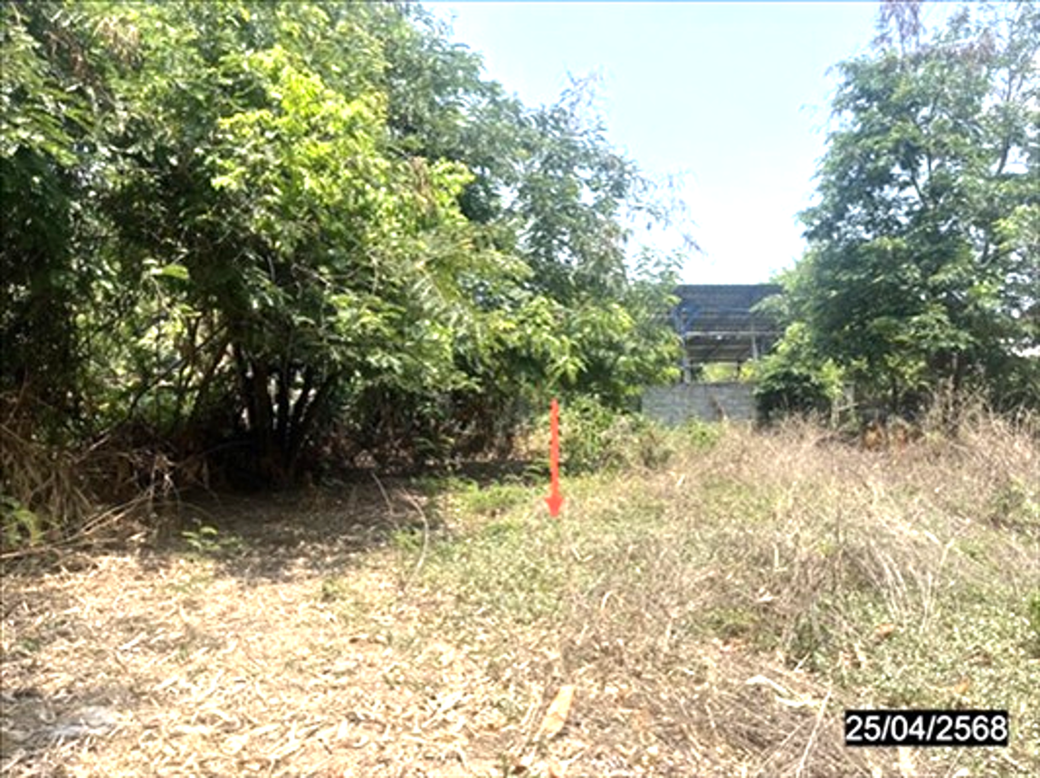 picture LAND for sale  At Samat At Samat Roi Et - 7/12