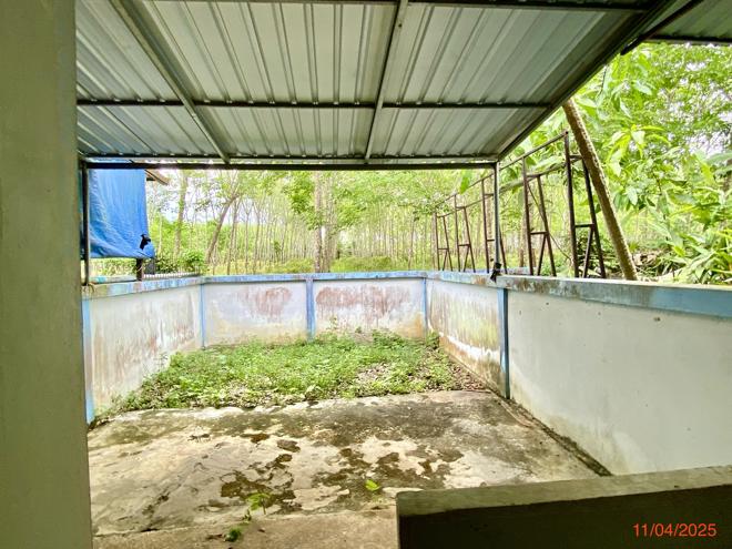 รูป บ้านเดี่ยว สำหรับขาย - บ้านนา ปะเหลียน ตรัง - รูปที่ 14/34