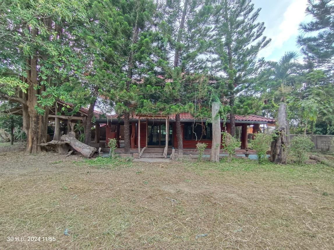 picture HOME for sale  Dong Chen Phu Kam Yao Phayao - 20/42