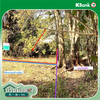 listing thumbnail image 21