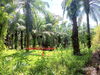 listing thumbnail image 13