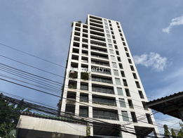 Project Polo Park Picture - 2/6