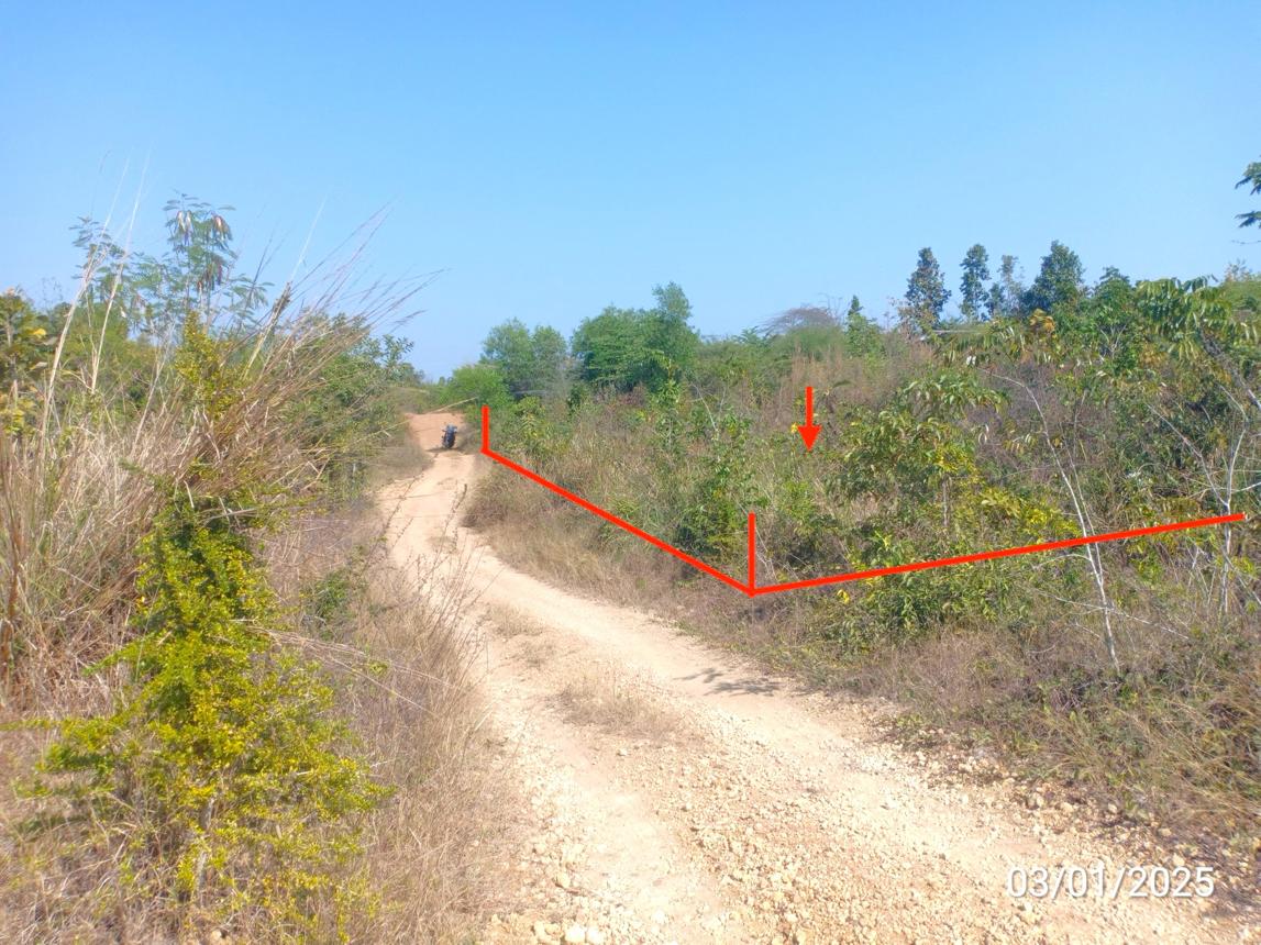 รูป ที่ดินว่างเปล่า สำหรับขาย - ร้องเข็ม ร้องกวาง แพร่ - รูปที่ 10/16