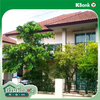 listing thumbnail image 9