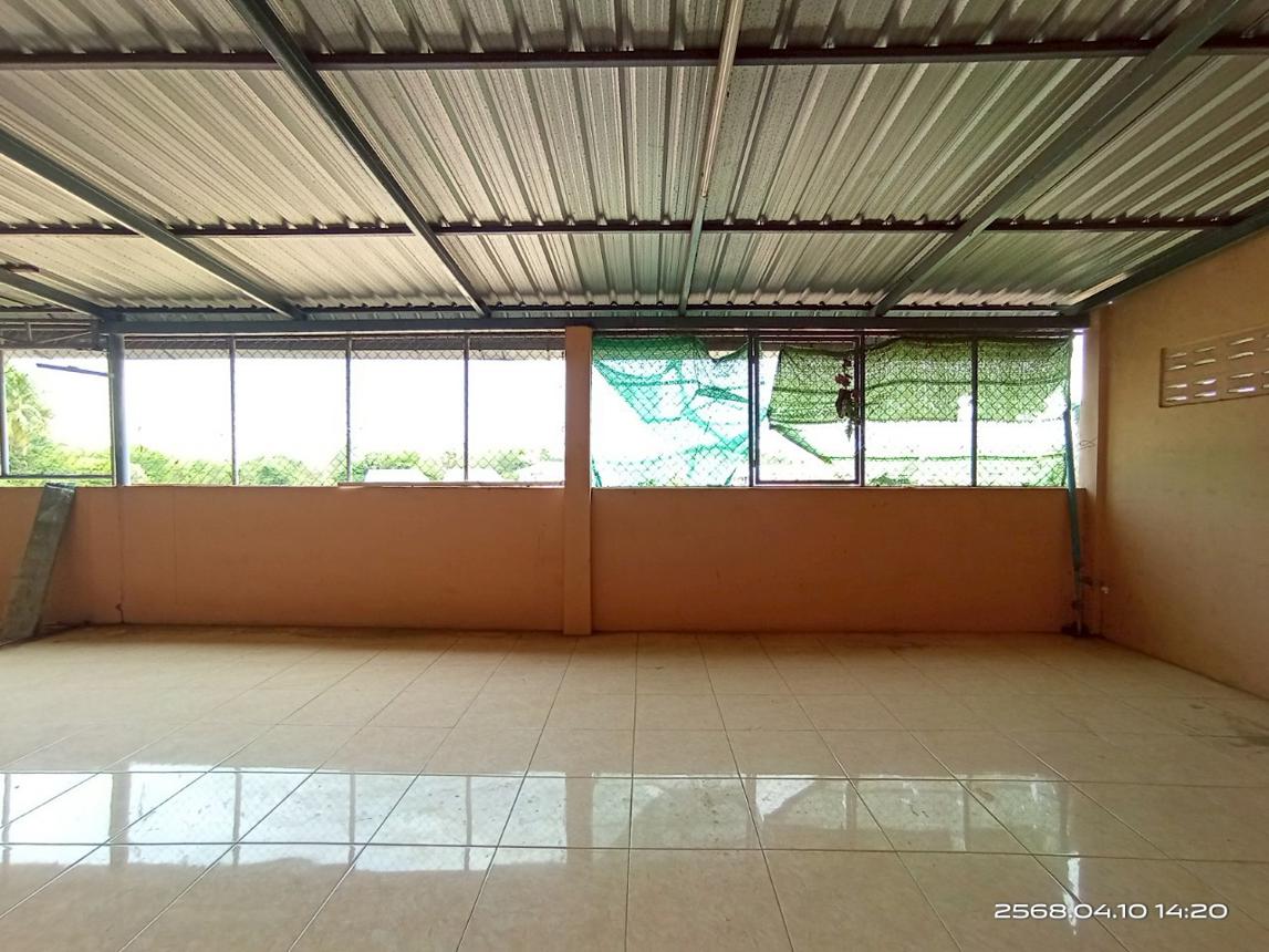 picture SHOP_HOUSE for sale  Kalasin Muang Kalasin Kalasin - 33/42