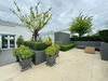 listing thumbnail image 38