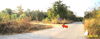 listing thumbnail image 16