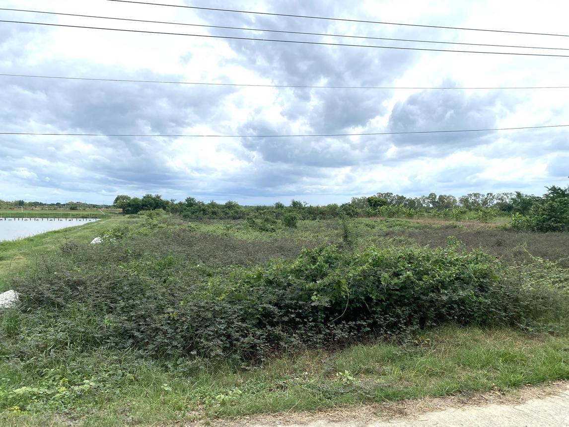 picture LAND for sale  Thanon Khat Muang Nakhon Pathom Nakhon Pathom - 6/10