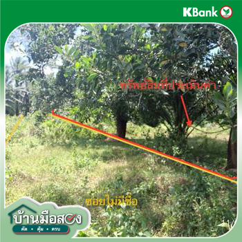 picture LAND for sale  Wang Maprang Nua Wang Wiset Trang - 22/24