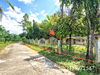 listing thumbnail image 26