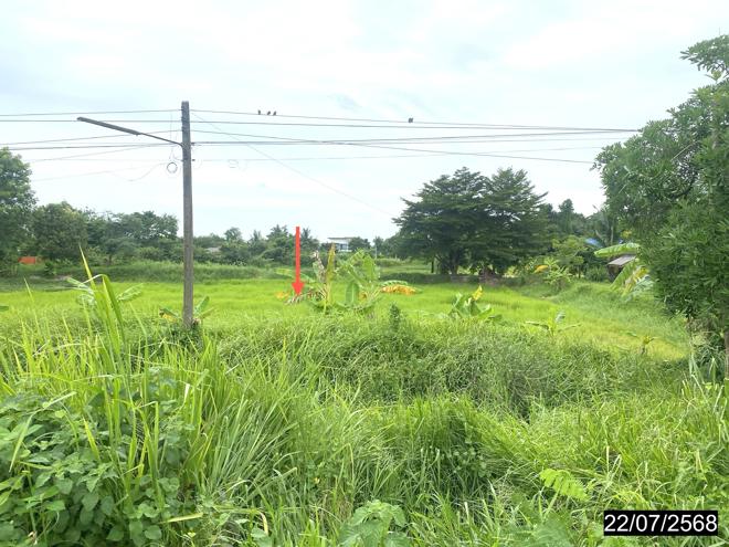 รูป ที่ดินว่างเปล่า สำหรับขาย - เหนือ เมืองกาฬสินธุ์ กาฬสินธุ์ - รูปที่ 4/16
