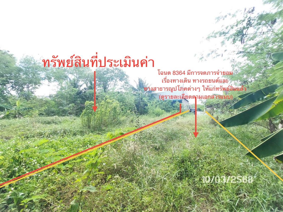 รูป บ้านเดี่ยว สำหรับขาย - วัดประดู่ เมืองสุราษฎร์ธานี สุราษฎร์ธานี - รูปที่ 22/26
