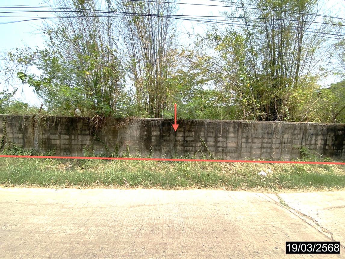 picture LAND for sale  Kalasin Muang Kalasin Kalasin - 6/14