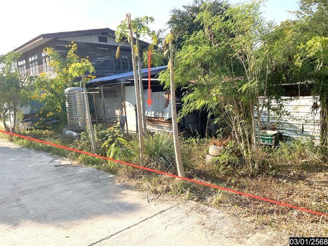 รูป บ้านเดี่ยว สำหรับขาย - หนองบัวใหญ่ จัตุรัส ชัยภูมิ - รูปที่ 3/14