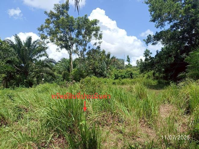 picture LAND for sale  Wang Maprang Nua Wang Wiset Trang - 5/24