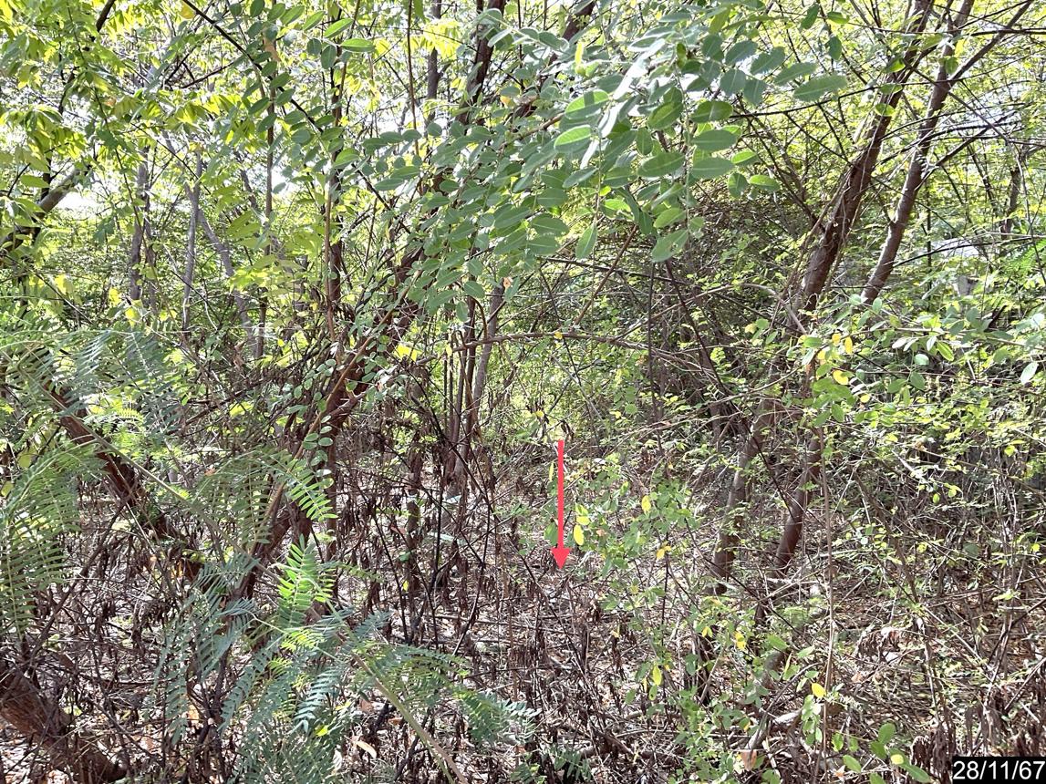 picture LAND for sale  Ban Pet Muang Khon Kaen Khon Kaen - 14/24