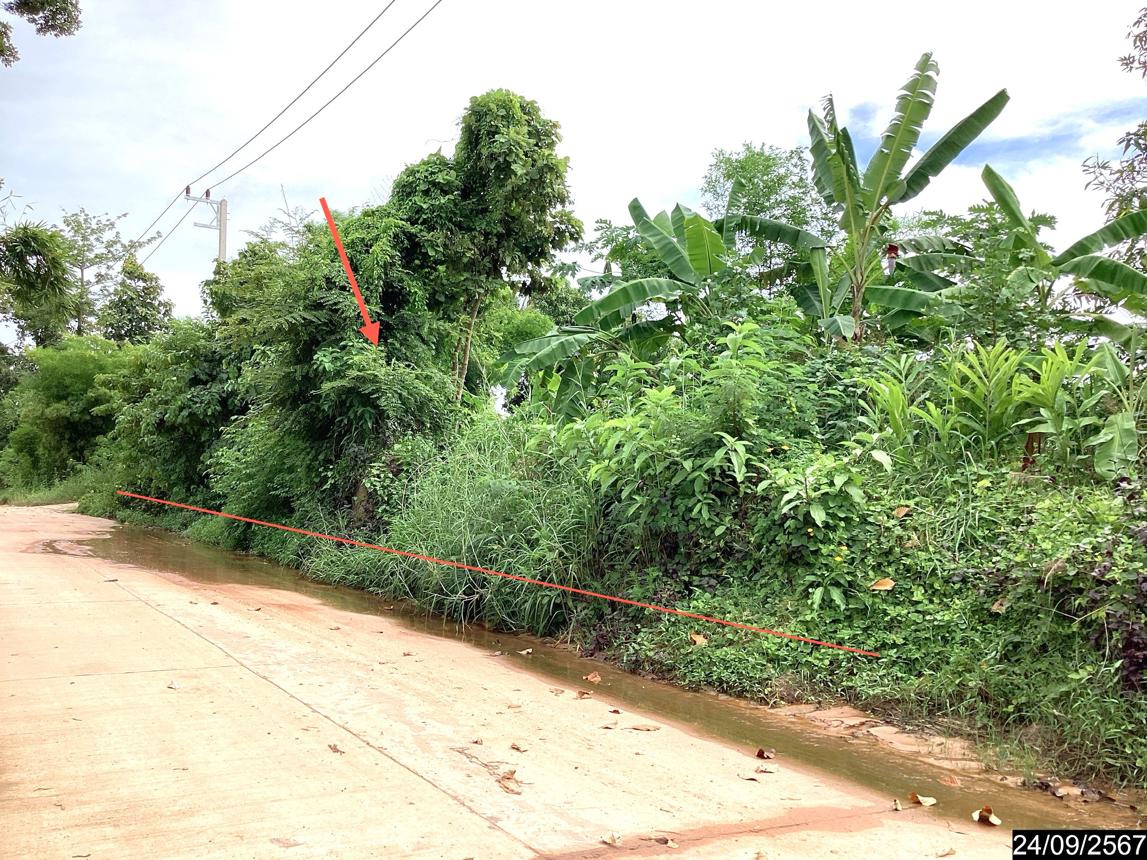 picture LAND for sale  Kham Khok Sung Wang Sam Mo Udon Thani - 9/18