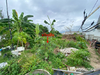 listing thumbnail image 14