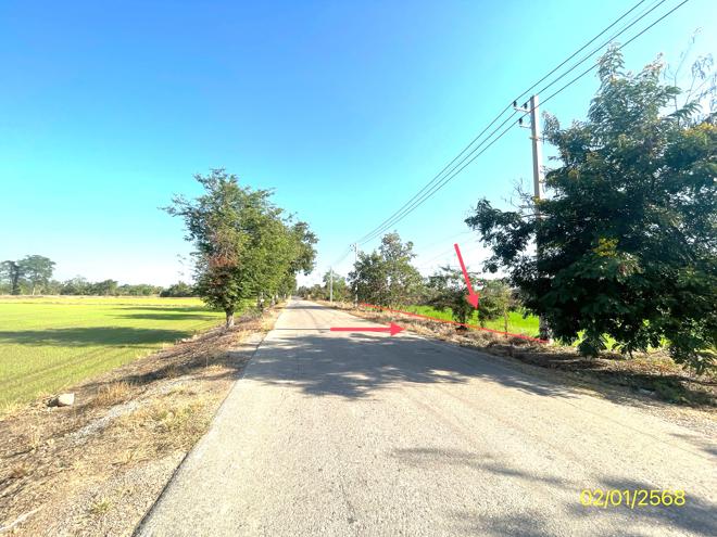 picture LAND for sale  Wang Phikun Wang Thong Phitsanulok - 4/18