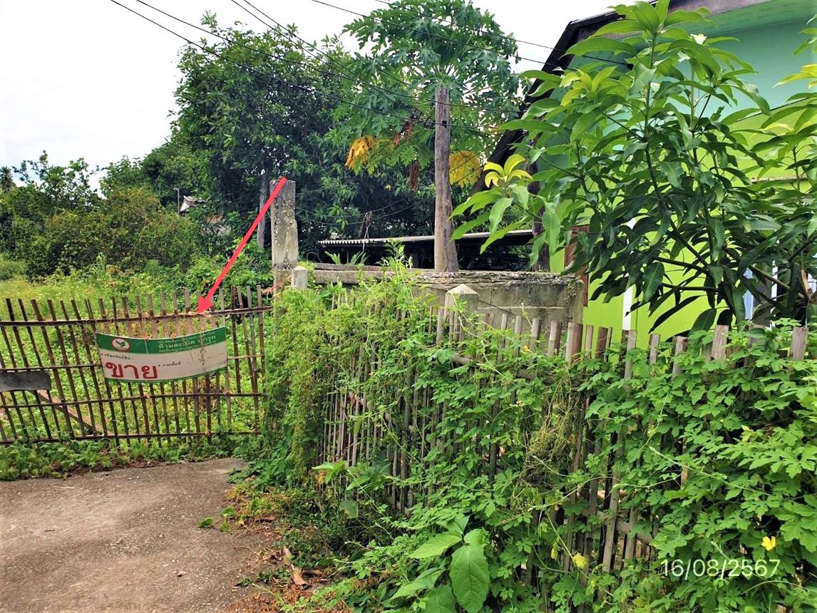 รูป บ้านเดี่ยว สำหรับขาย - เหล่ายาว บ้านโฮ่ง ลำพูน - รูปที่ 38/42