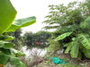 listing thumbnail image 27