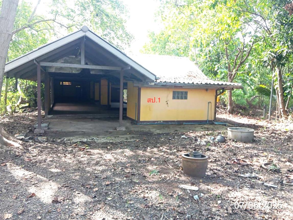 รูป บ้านเดี่ยว สำหรับขาย - ท่าสว่าง เมืองสุรินทร์ สุรินทร์ - รูปที่ 11/24