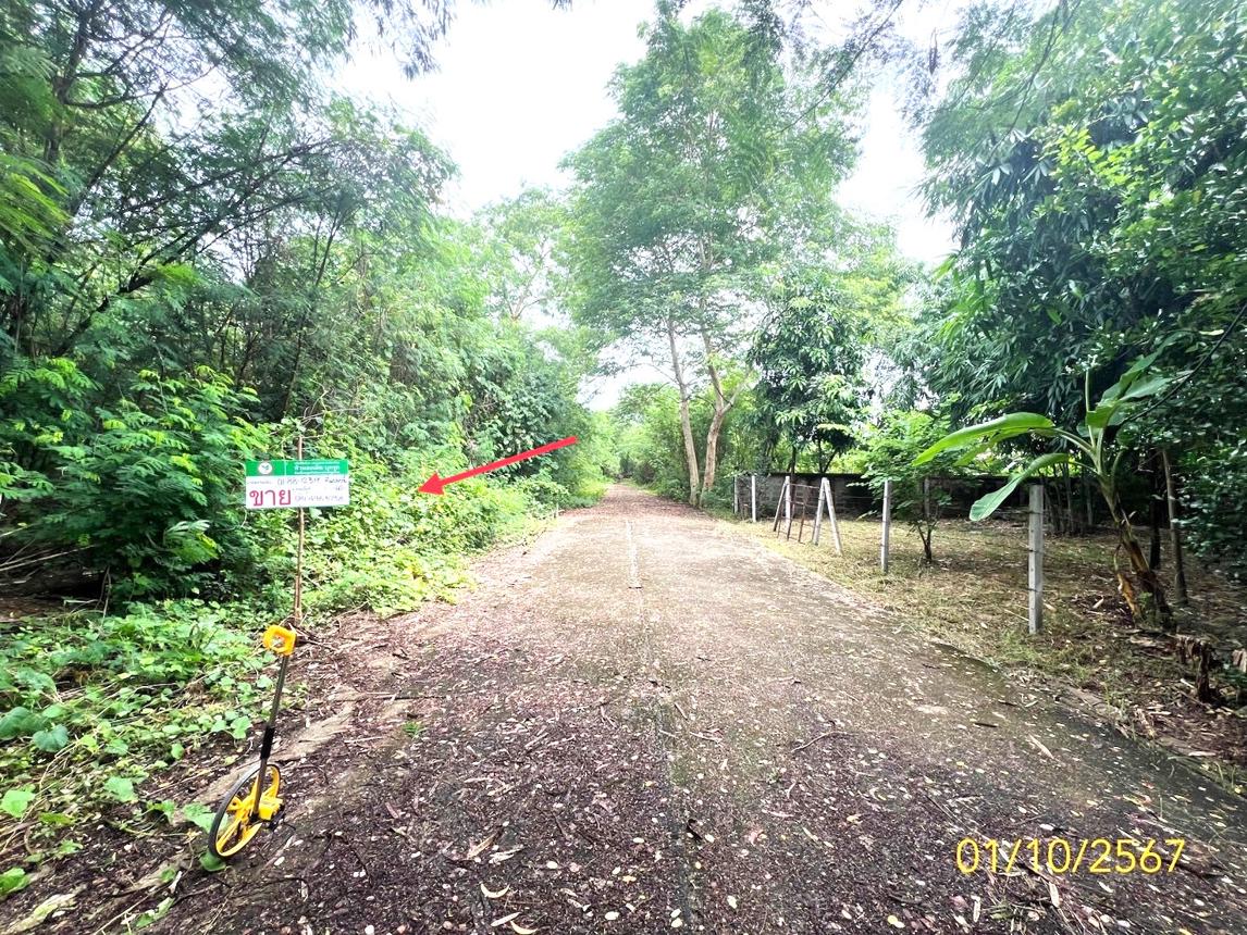 รูป ที่ดินว่างเปล่า สำหรับขาย - รังสิต ธัญบุรี ปทุมธานี - รูปที่ 11/18