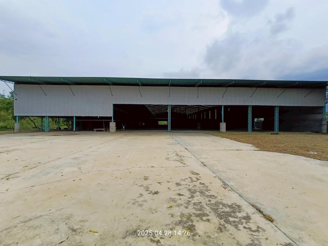 รูป โกดัง สำหรับขาย - เพชรละคร หนองไผ่ เพชรบูรณ์ - รูปที่ 29/58