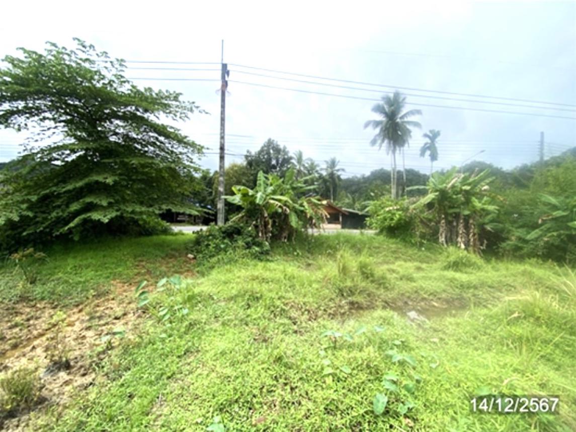 picture LAND for sale  Khuan Sato Khuan Don Satun - 17/24