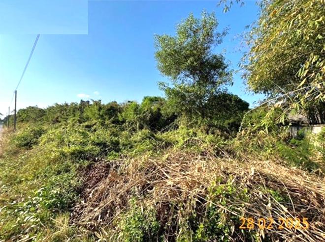 picture LAND for sale  Pong Sang Thong Muang Lampang Lamphang - 6/18
