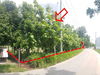 listing thumbnail image 4