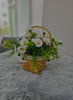 listing thumbnail image 14